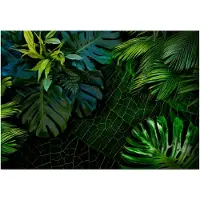 Kärkkäinen Artgeist Dark Jungle fototapetti