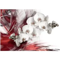 Kärkkäinen Artgeist Orchid In Red fototapetti