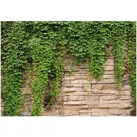 Kärkkäinen Artgeist Ivy Wall fototapetti