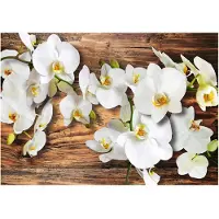 Artgeist Forest Orchid fototapetti