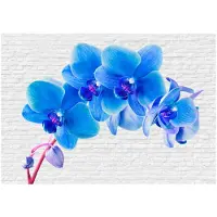 Artgeist Blue Excitation fototapetti