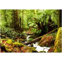 Kärkkäinen Artgeist Forest Brook itseliimautuva fototapetti