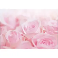 Kärkkäinen Artgeist Ocean of Roses itseliimautuva fototapetti