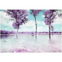 Kärkkäinen Artgeist Heather Landscape fototapetti