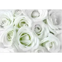 Kärkkäinen Artgeist Satin Rose (Green) itseliimautuva fototapetti