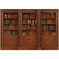 Kärkkäinen Artgeist Elegant Library itseliimautuva fototapetti