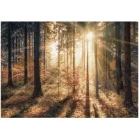 Kärkkäinen Artgeist Autumnal Forest itseliimautuva fototapetti