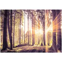 Kärkkäinen Artgeist Forest Afternoon itseliimautuva fototapetti
