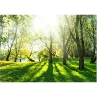 Kärkkäinen Artgeist Sunny May Day itseliimautuva fototapetti