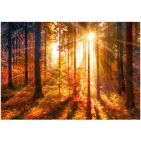 Kärkkäinen Artgeist Autumnal Time itseliimautuva fototapetti