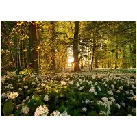 Kärkkäinen Artgeist Forest flora itseliimautuva fototapetti
