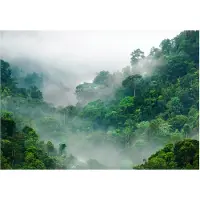 Kärkkäinen Artgeist Morning Fog itseliimautuva fototapetti