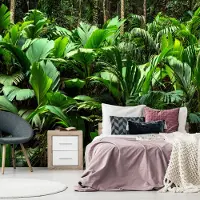 Artgeist Freshness of the Jungle itseliimautuva fototapetti
