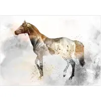 Artgeist Fiery Steed fototapetti