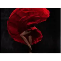 Artgeist Flamenco tanssija fototapetti