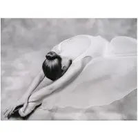 Artgeist photo: ballerina fototapetti