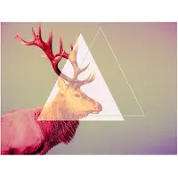 Artgeist deer (graphic pattern) fototapetti