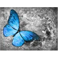 Artgeist Blue butterfly fototapetti