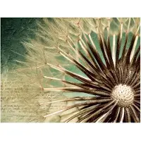 Artgeist Focus on dandelion fototapetti