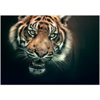 Artgeist Bengal Tiger fototapetti