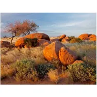 Artgeist Afrikkalainen maisema, Namibia fototapetti