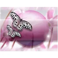 Artgeist Fly, Butterfly! fototapetti