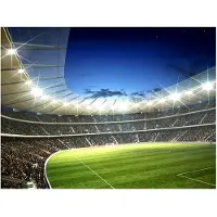Artgeist National stadium fototapetti