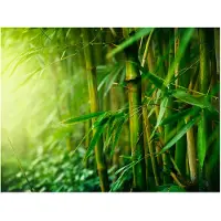 Artgeist jungle - bamboo fototapetti
