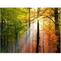 Artgeist Kaunis syksy fototapetti