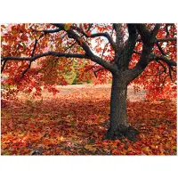 Artgeist Tree syksyllä fototapetti