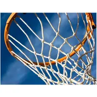 Artgeist sport - basketball fototapetti