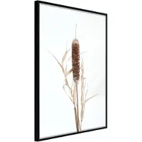 Artgeist Typha juliste
