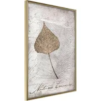 Artgeist Dried Leaf juliste