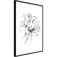 Artgeist Sketch Of Lillies juliste