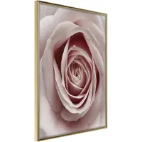 Artgeist Rosebud juliste