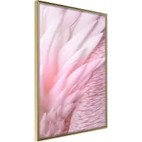 Artgeist Pink Feathers juliste