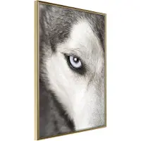 Artgeist Azure Eye juliste