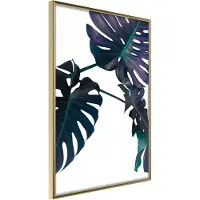 Artgeist Evergreen Monstera juliste