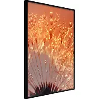 Artgeist Orange Breath Of the Summer juliste
