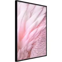 Artgeist Pink Feathers juliste
