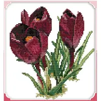 Farnia Violetit tulppaanit ristipistopakkaus