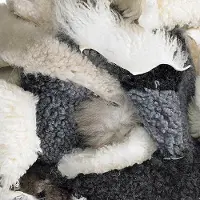 Slöjd-Detaljer sekavärit lampaanturkispalat
