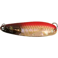 Daiwa Wise Masau 17 g lusikkauisitin