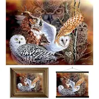 DELUXEBASE 3D LiveLife Pictures Owl Woods juliste