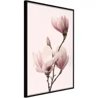Artgeist Blooming Magnolias Iii juliste