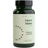 Great Earth Lion`s mane 500mg 60 kaps ravintolisä