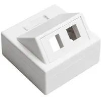 Leviton Seinälaatikko Leviton 2 X keystone valkoinen