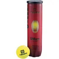 Wilson Team Practice Tennis Balls Keltainen 4 Balls