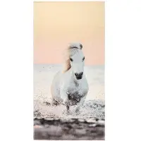 4Living Pony Dream kylpypyyhe