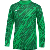 Nike Maalivahdin paita Dri-FIT Gardien V L/S - Vihreä/Vihreä/Valkoinen Lapset, koko XL: 158-170 cm